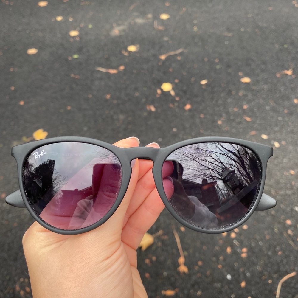 Ray-Ban Erika Black Sunglasses